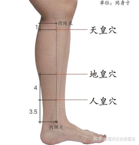 下三皇穴位|既补先天肾，又补后天脾的特效奇穴——下三皇